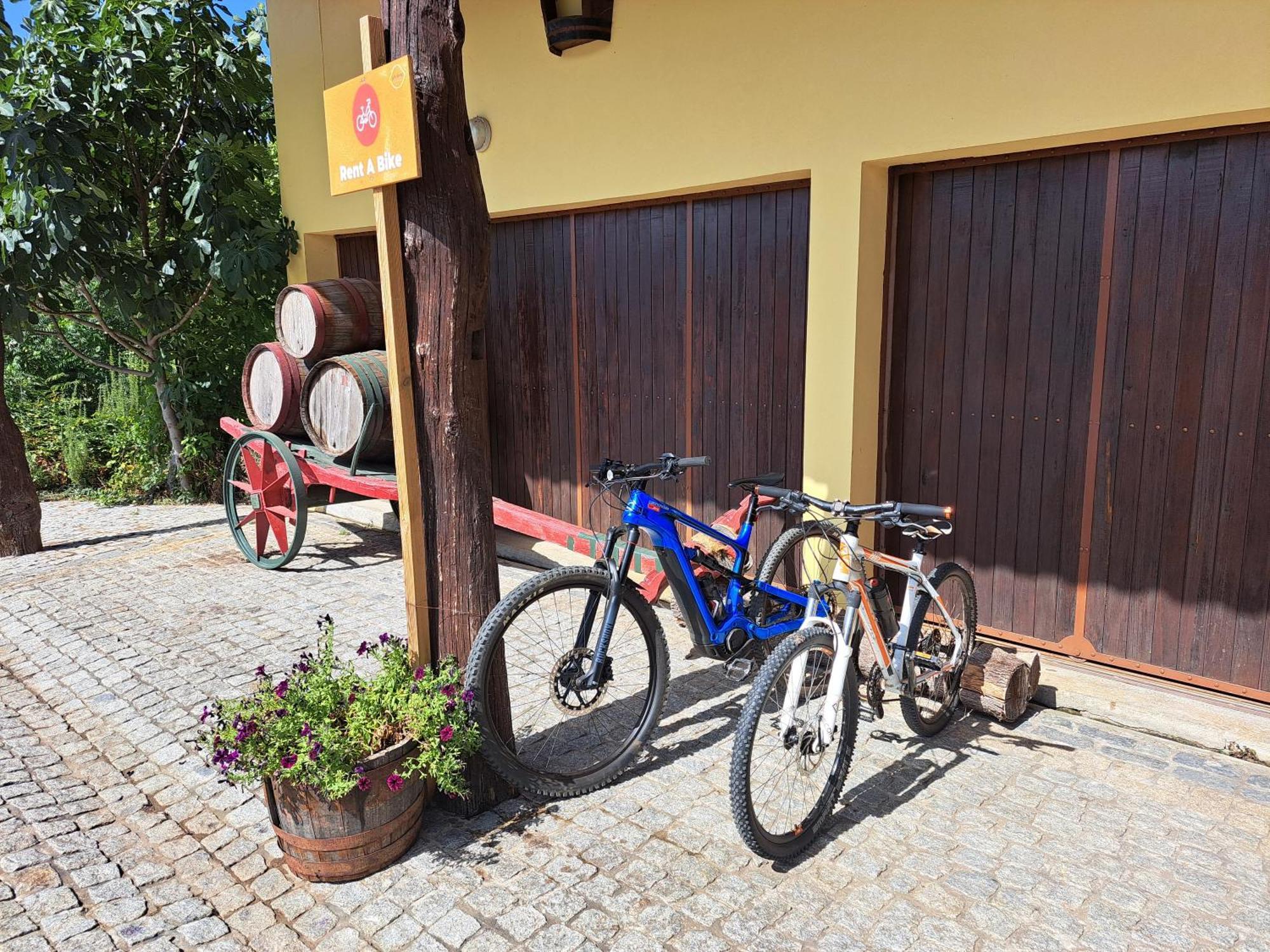 Quinta De Carcavelos Agroturismo E Enoturismo Celorico De Basto Exterior foto